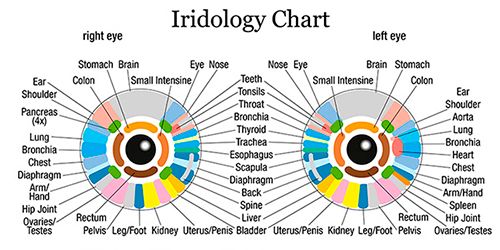 iridiologia